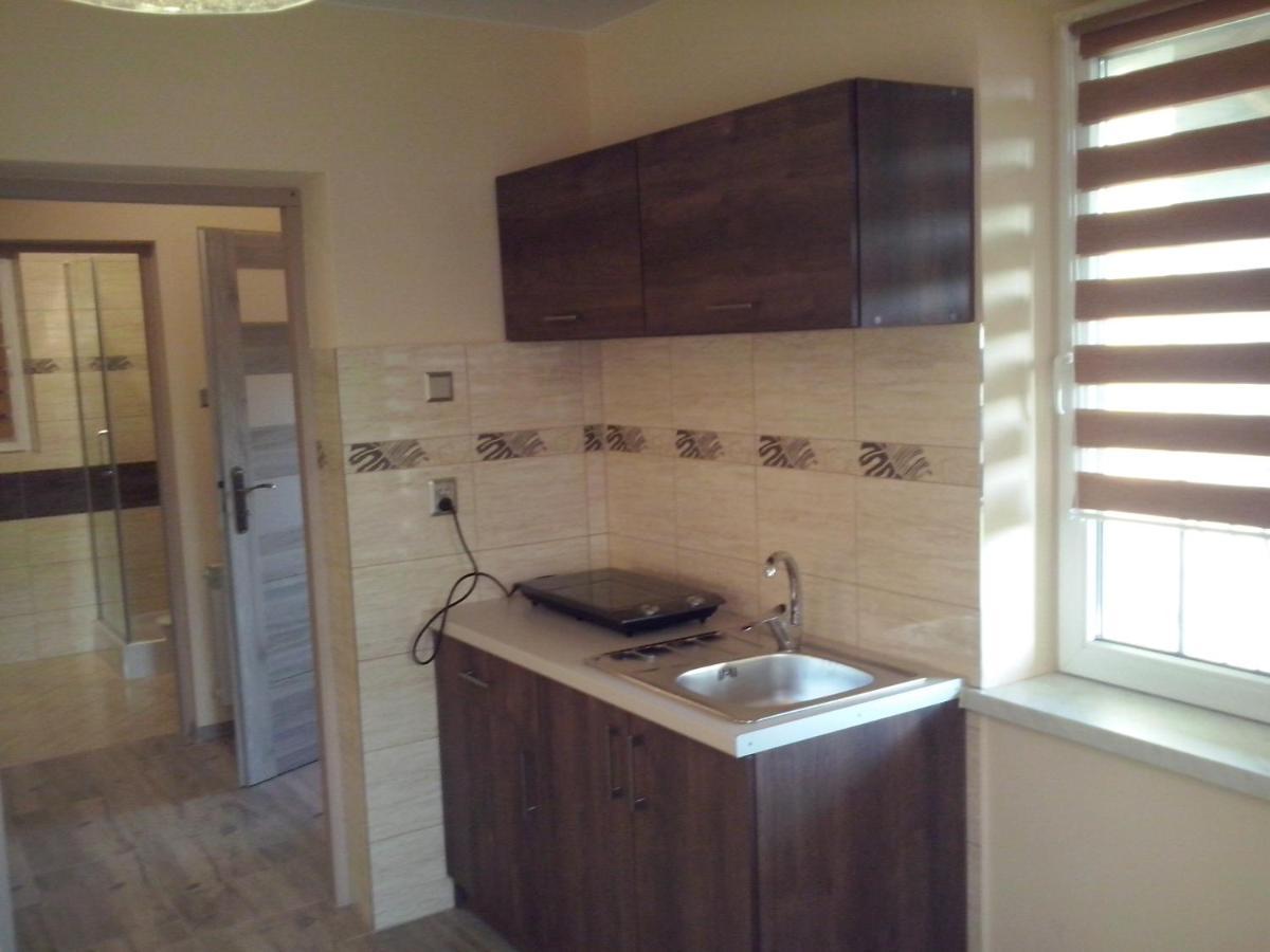 Apartament Orlik Tylicz Eksteriør bilde